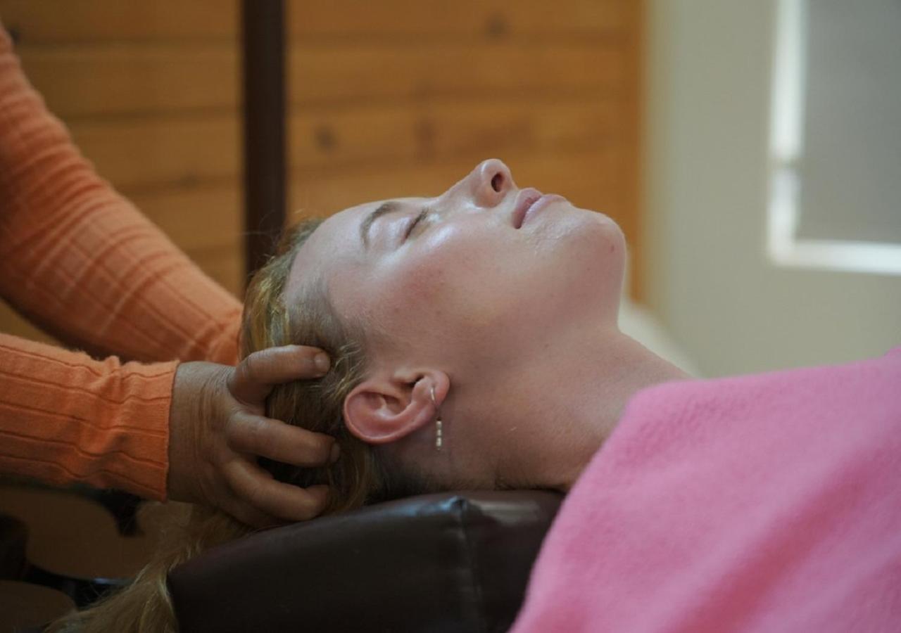 הוילה רישיקש Panchakarma Retreat - Earth Roots Ayurveda מראה חיצוני תמונה